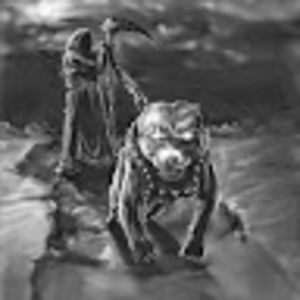 Meet your Posher, Kristopher